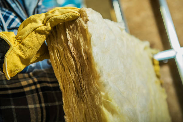 Best Cellulose Insulation  in Rantoul, IL